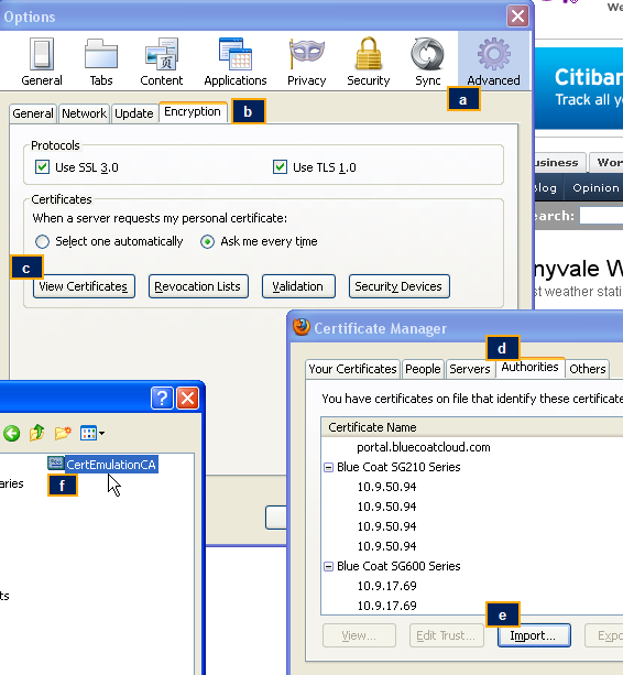 https://bto.bluecoat.com/webguides/sslv/sslva_first_steps/Content/Resources/Images/screenshots/browsers/rootcert_ff_1.png